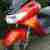 Suzuki Epicuro 125