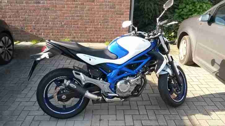 Suzuki Gladius 650