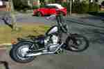 LS 550 Savage Bobber Umbau Oldschool