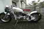 LS 650 Savage, Bobber, Cruiser