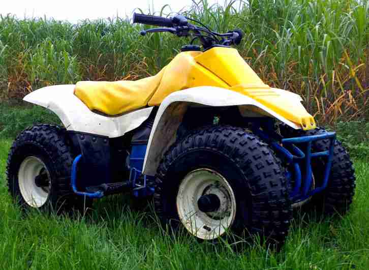 Suzuki LT80 LT 80 80ccm Kinderquad Quadsport Preis VB