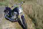 Savage LS 650 Chopper Bopper Cruiser