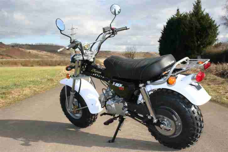 T-Rex ST 125 von Skyteam , Retro Design **Neu** Modell 2013 Neufahrzeug