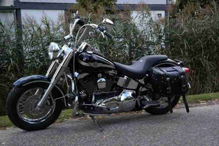 >TOP 2003 Harley Davidson Fatboy FLSTFI 100