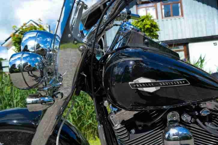 >>> TOP 2005 Harley Davidson Sofail Deluxe FLSTN <<<
