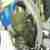 Tm mx 250
