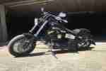 Top Harley Davidson Softail Neuum Aufbau 2015