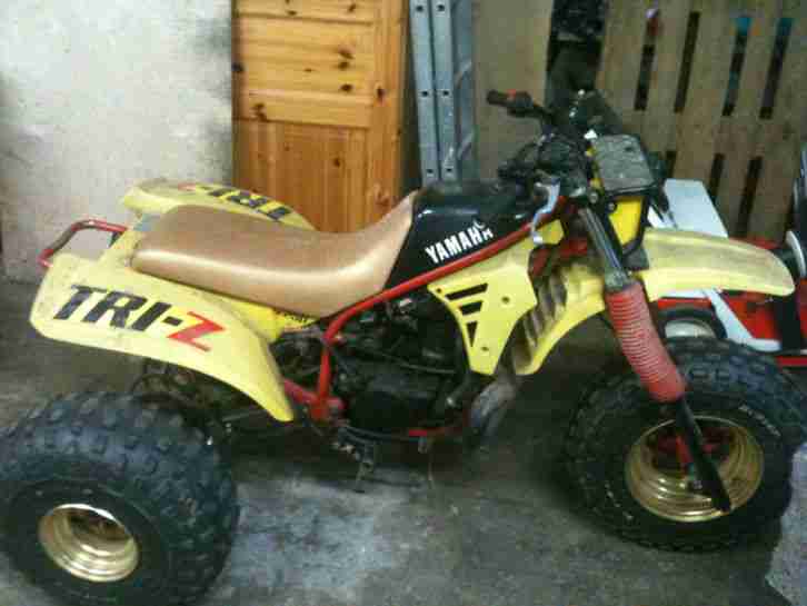 Trike Vollcross Yamaha Tri-Z 250, ca 50 PS SUPER ZUSTAND, springt SOFORT an