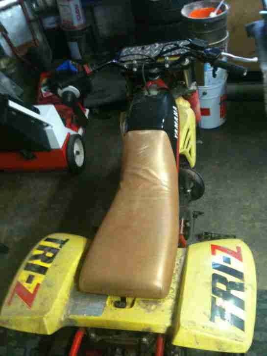 Trike Vollcross Yamaha Tri-Z 250, ca 50 PS SUPER ZUSTAND, springt SOFORT an