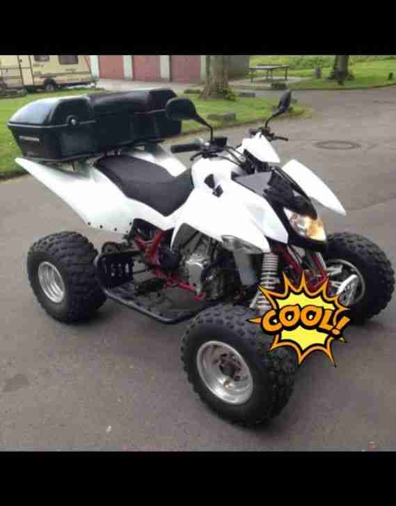 Triton Baja 300 Quad ATV Access Motor Bj.2010 Automatik