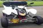 Triton Baja 300 Quad ATV Access Motor Bj.2010