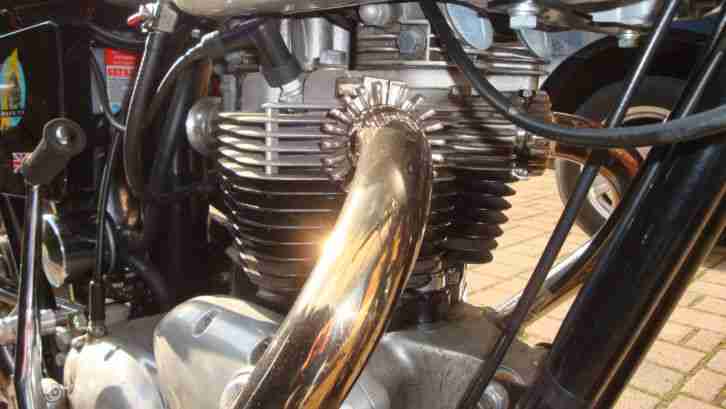 Triump TR 650 R Tiger Caferacer