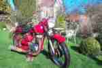 Triumph BDG 250