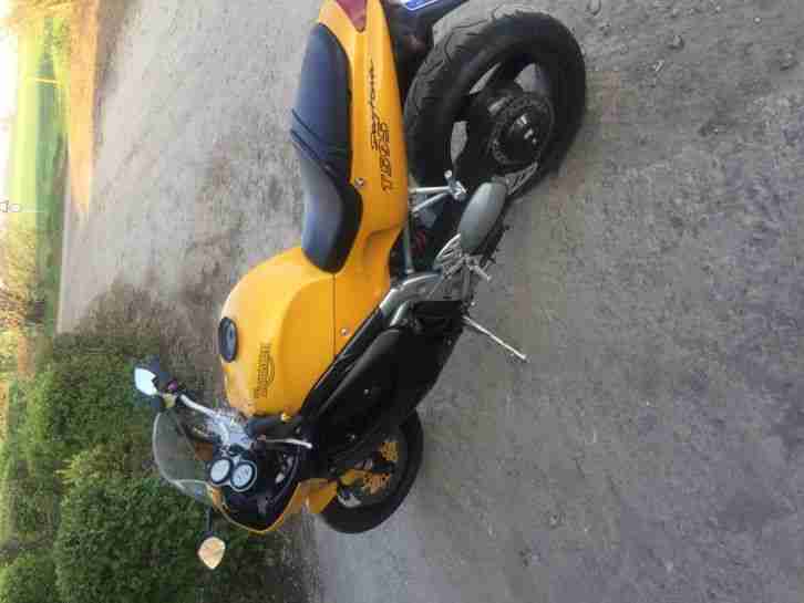 Triumph Daytona 955