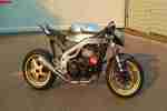 Daytona 955i, Cafe Racer, Caferacer,