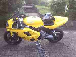 Triumph Daytona 955i