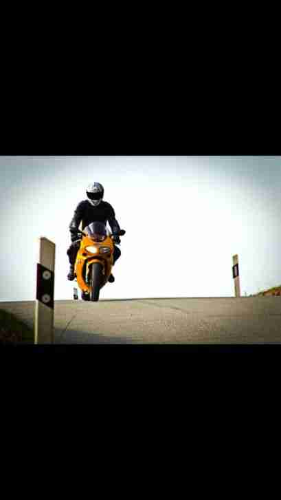 Triumph Daytona 955i / T595 !!!keine Honda,Suzuki,Yamaha,KTM!!!
