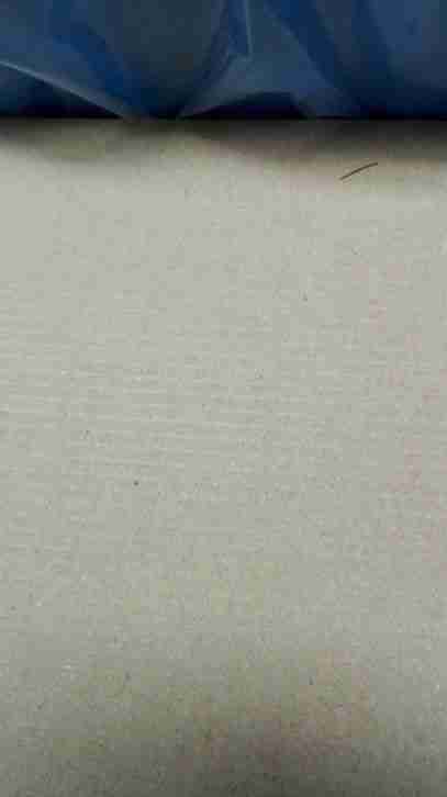 Triumph Speed Trible