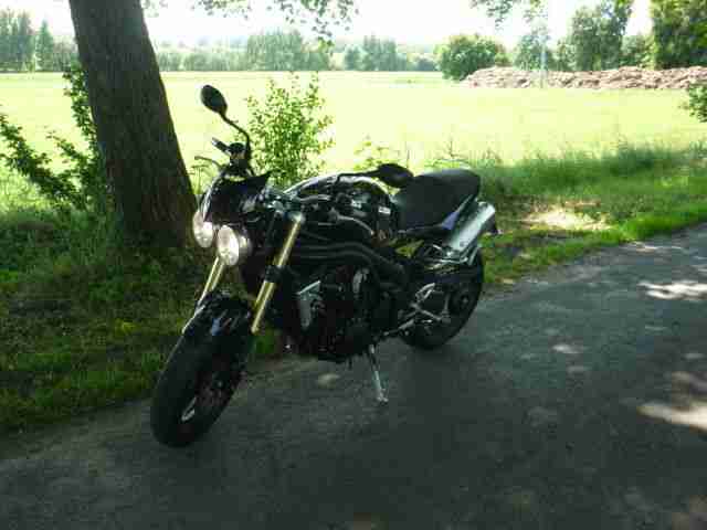 Triumph Speed Trible