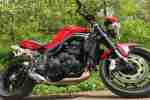 Speed Triple 1050 SE Arrow, Rizoma