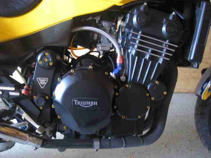 Triumph Speed Triple, Typ 300 B zahlreiche Modifikationen! Baujahr 1994!