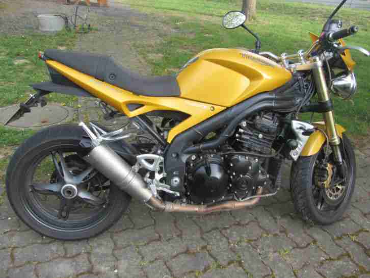 Speed Triple, guter Zustand