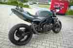 Speed triple t509 Custombike Fighter