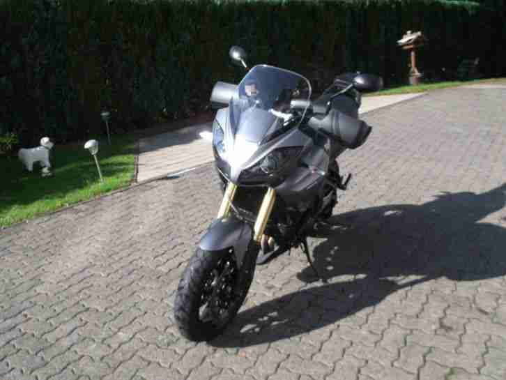 Triumph Tiger 1050 SE mit ABS und Koffer