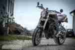 Tiger 1050 Speed Triple 1050 Umbau