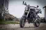 Tiger 1050 Speed Triple 1050 Umbau