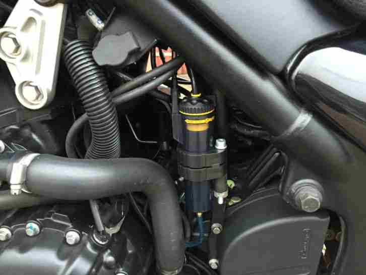 Triumph Tiger 955i