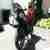 Triumph Tiger T