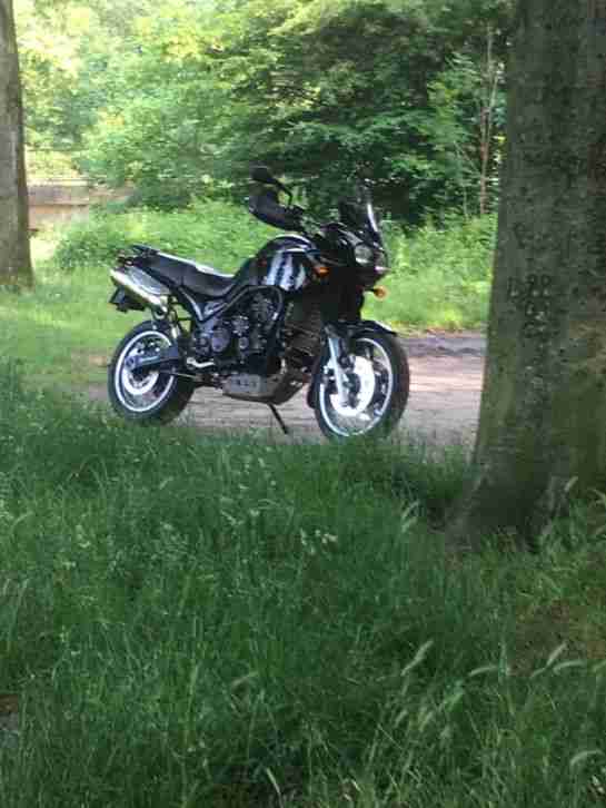 TriumphTiger 955i Motorrad