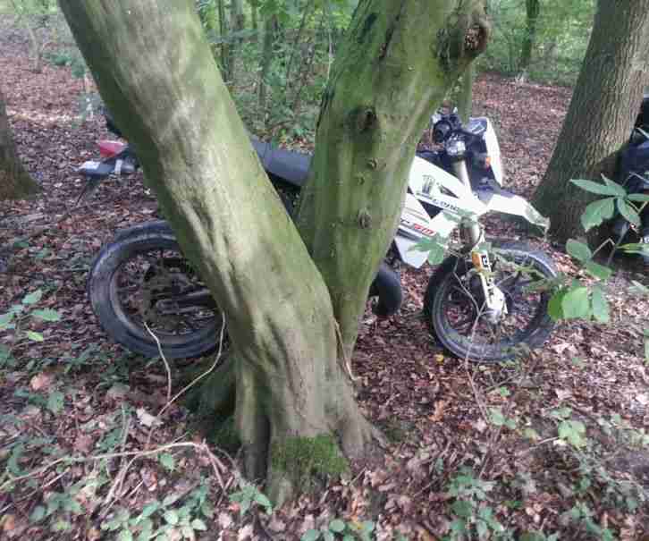 Verkaufe Generic Trigger Sm 50