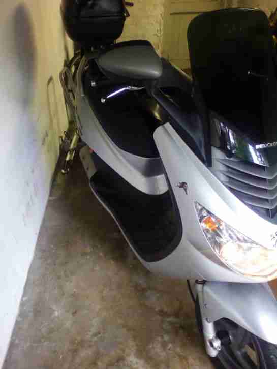 Verkaufe Peugeot ELystar 50 ger Roller aus 1 Hand, Top in Schuß, Wartung neu