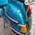 Vespa PX80 V8X1T