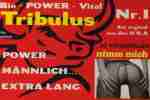 WOW POTENZMITTEL TRIBULUS 20 Stk.SEX POWER