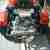 Wolf Trike 