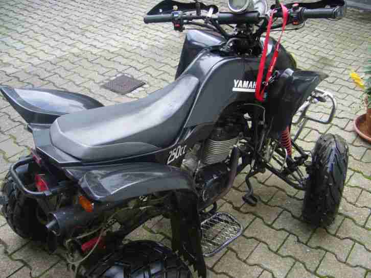 Wonjan Quad 250ccm, 17 PS