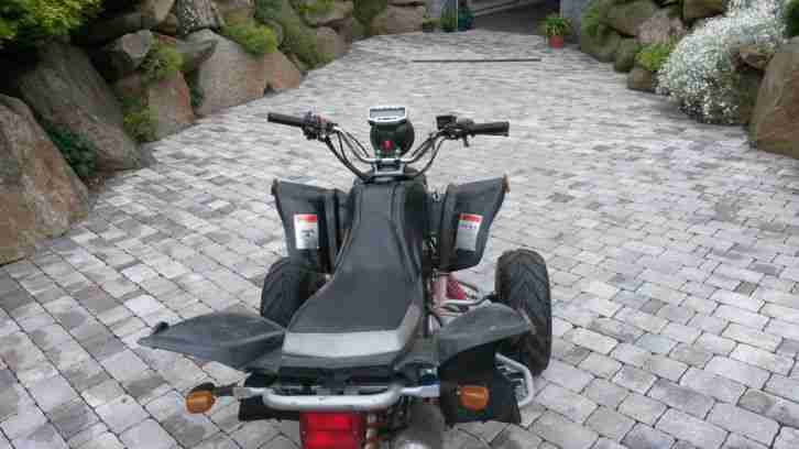 Xiongtai Quad 250