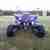 Yamaha RAPTOR YFM