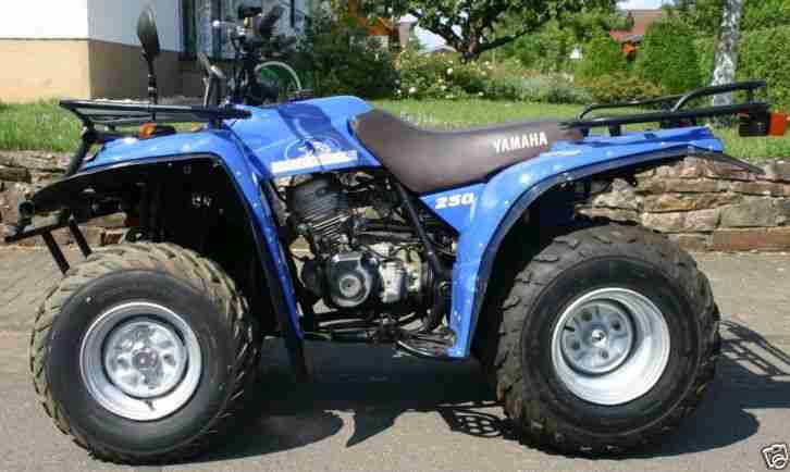 YAMAHA TIMBERWOLF 250 QUAD ATV