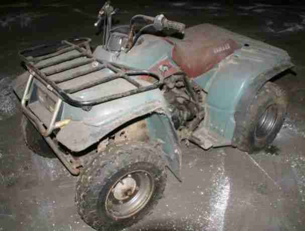 YAMAHA TIMBERWOLF QUAD ATV 250 ccm Kardan-Antrieb