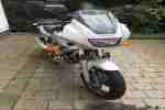 XJ 600S DIVERSION Bj.2003