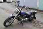 Dragstar XVS 650 Custom