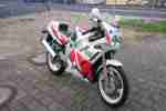 FZR 600