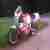 Yamaha FZR 600