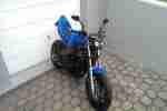 FZR Streetfighter (Projektabgabe)