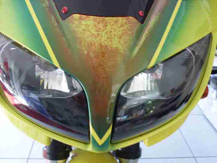 Yamaha FZS600 Speziallakierung, Motorrad,Hinkucker