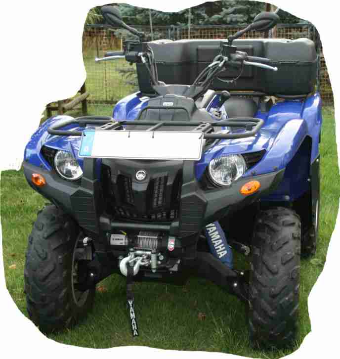 Yamaha Grizzly 700 YFM SE Special Edition